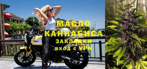 индика Болхов