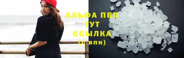 индика Болхов