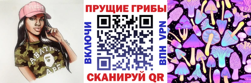 где купить наркотик  Горбатов  кракен вход  Галлюциногенные грибы Cubensis 