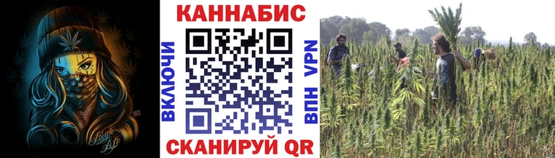 Бошки Шишки гибрид где продают наркотики Горбатов